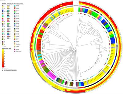Population structure and genetic diversity of Streptococcus suis isolates obtained from the United States